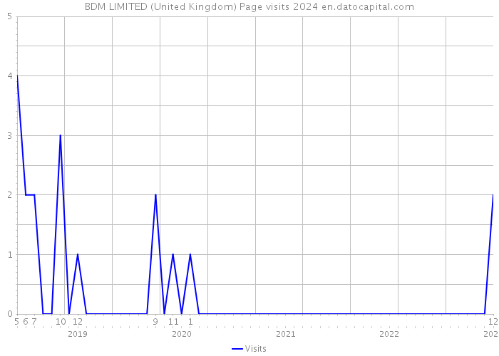 BDM LIMITED (United Kingdom) Page visits 2024 