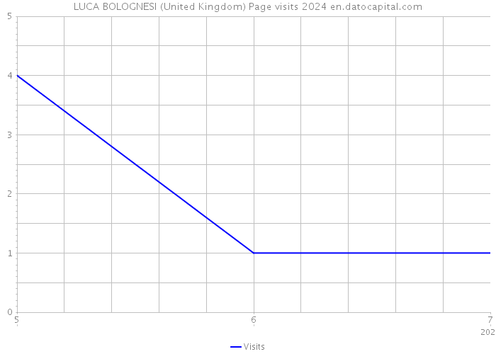 LUCA BOLOGNESI (United Kingdom) Page visits 2024 