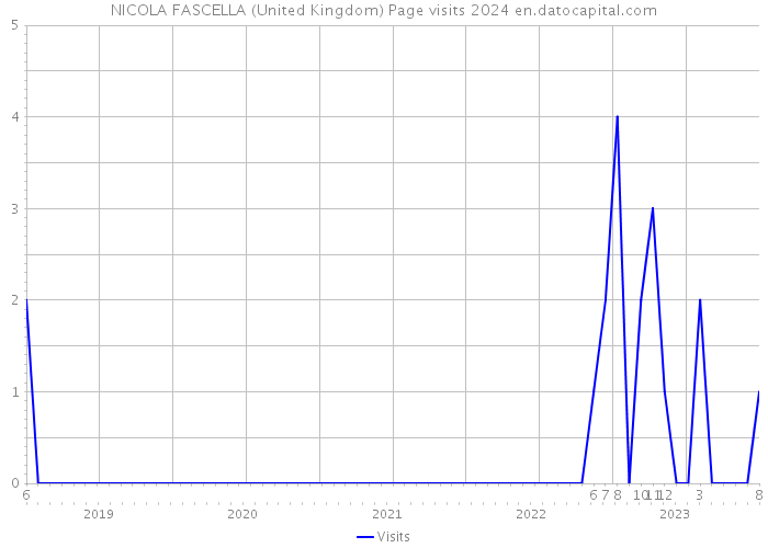NICOLA FASCELLA (United Kingdom) Page visits 2024 