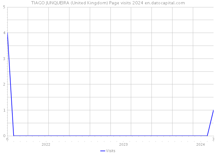 TIAGO JUNQUEIRA (United Kingdom) Page visits 2024 
