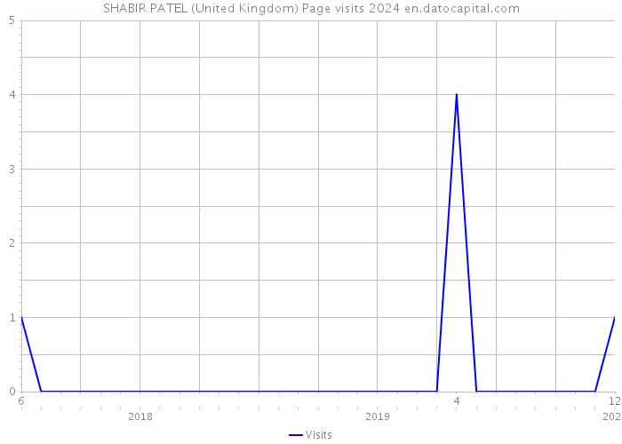 SHABIR PATEL (United Kingdom) Page visits 2024 