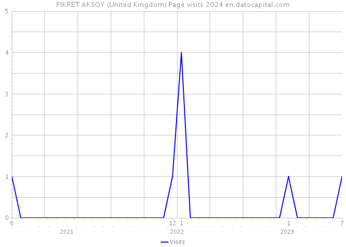 FIKRET AKSOY (United Kingdom) Page visits 2024 