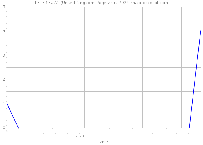 PETER BUZZI (United Kingdom) Page visits 2024 