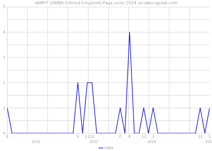 AMRIT LAMBA (United Kingdom) Page visits 2024 