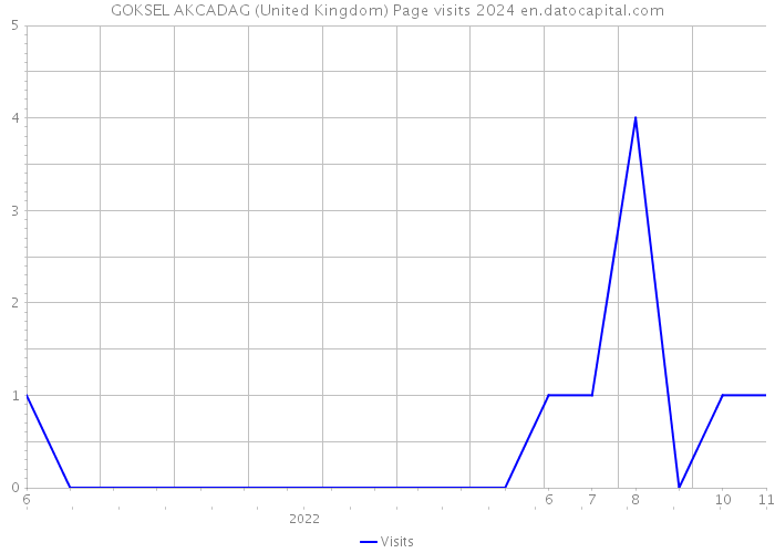 GOKSEL AKCADAG (United Kingdom) Page visits 2024 