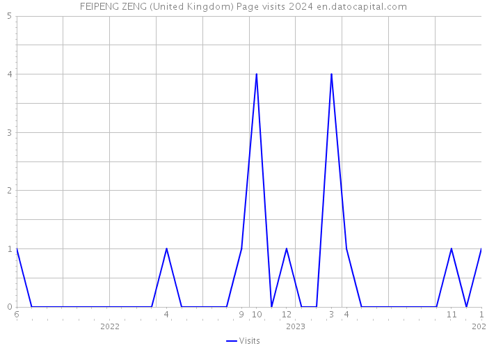 FEIPENG ZENG (United Kingdom) Page visits 2024 