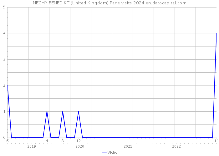 NECHY BENEDIKT (United Kingdom) Page visits 2024 
