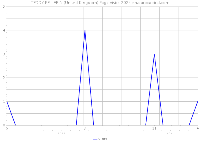 TEDDY PELLERIN (United Kingdom) Page visits 2024 