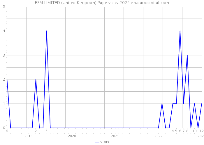 FSM LIMITED (United Kingdom) Page visits 2024 