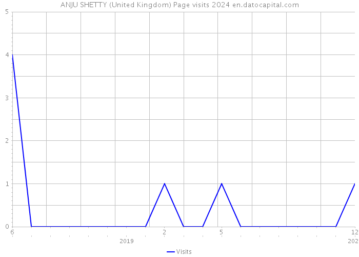 ANJU SHETTY (United Kingdom) Page visits 2024 