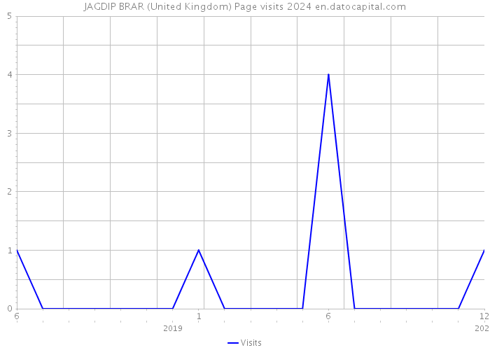 JAGDIP BRAR (United Kingdom) Page visits 2024 