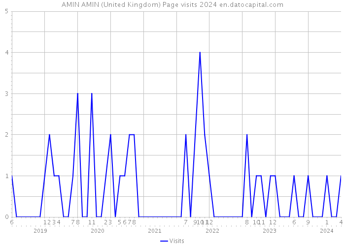 AMIN AMIN (United Kingdom) Page visits 2024 