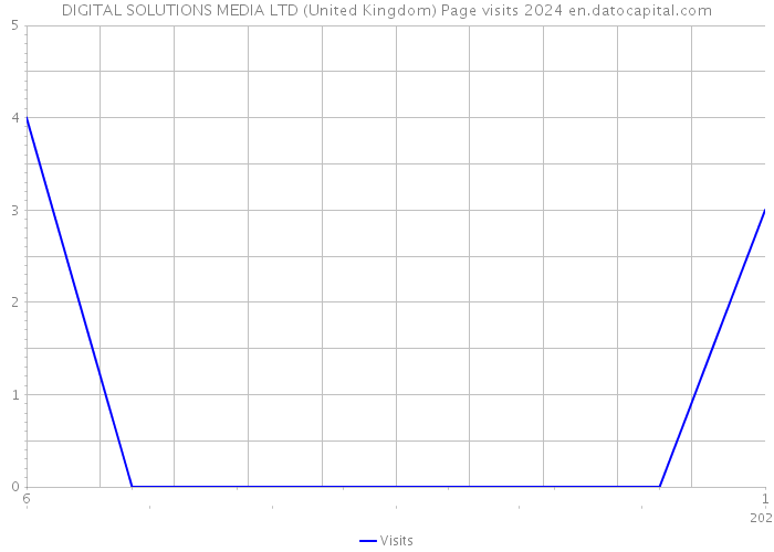DIGITAL SOLUTIONS MEDIA LTD (United Kingdom) Page visits 2024 