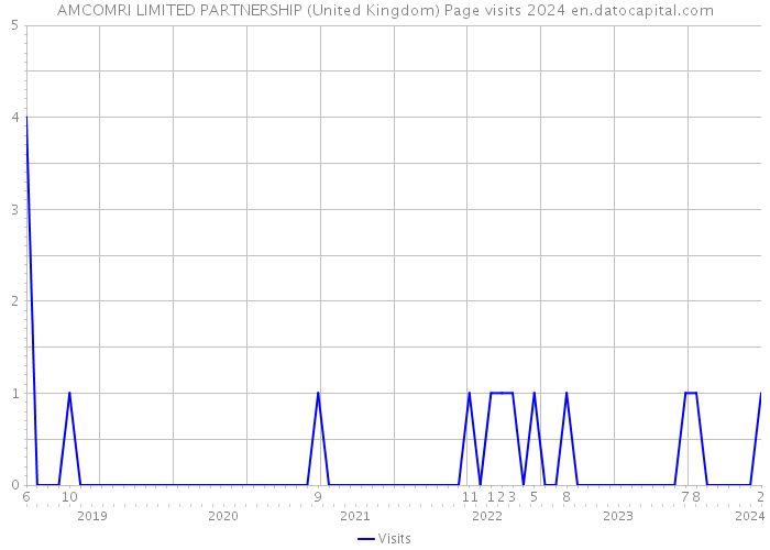 AMCOMRI LIMITED PARTNERSHIP (United Kingdom) Page visits 2024 