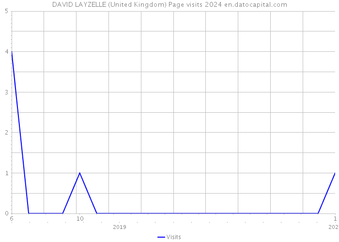 DAVID LAYZELLE (United Kingdom) Page visits 2024 