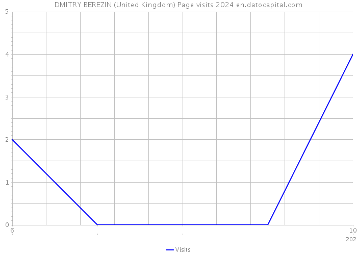 DMITRY BEREZIN (United Kingdom) Page visits 2024 