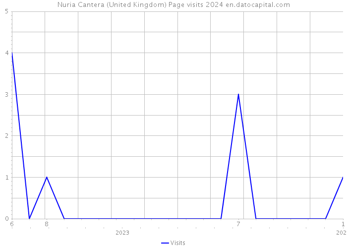Nuria Cantera (United Kingdom) Page visits 2024 
