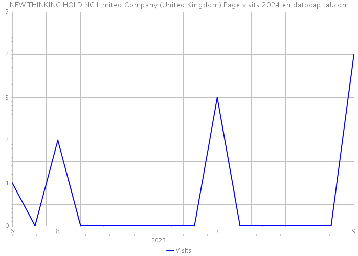 NEW THINKING HOLDING Limited Company (United Kingdom) Page visits 2024 