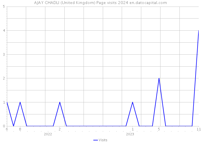 AJAY CHADLI (United Kingdom) Page visits 2024 