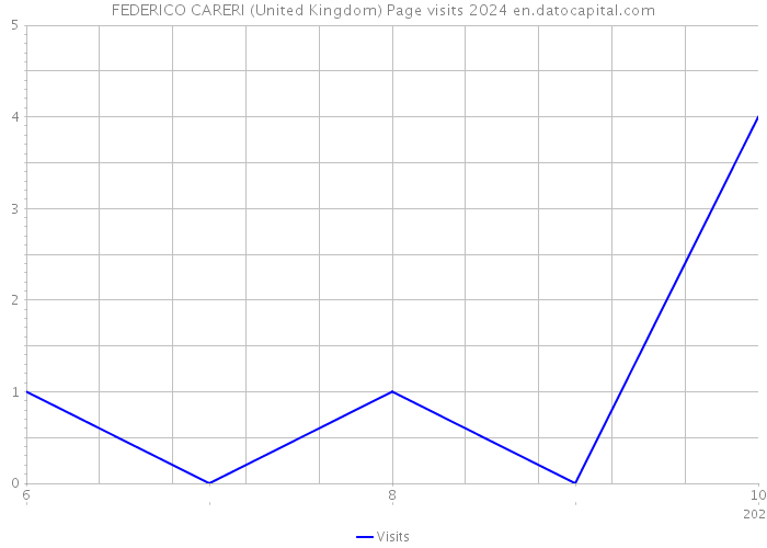 FEDERICO CARERI (United Kingdom) Page visits 2024 
