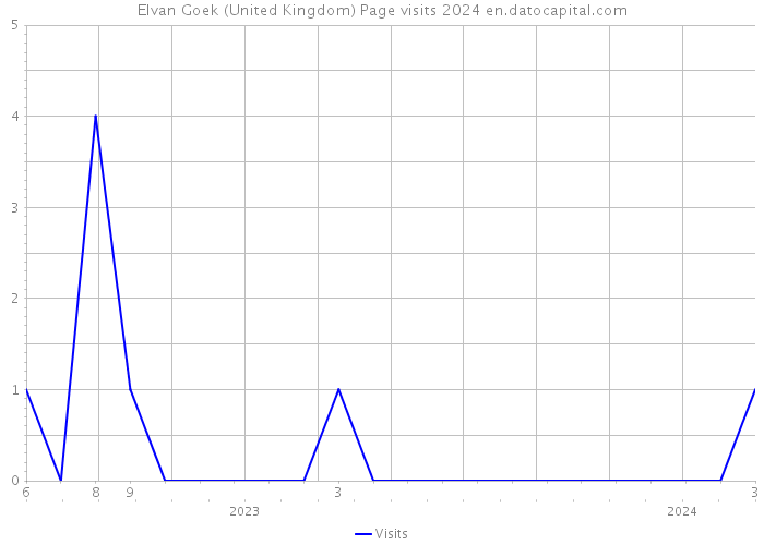 Elvan Goek (United Kingdom) Page visits 2024 