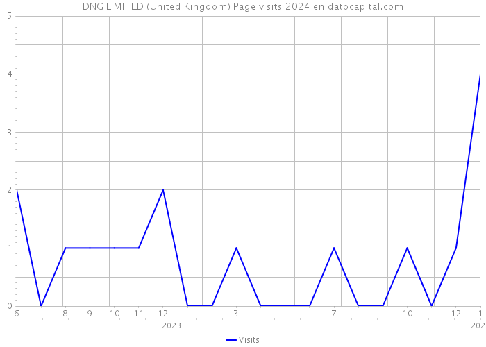 DNG LIMITED (United Kingdom) Page visits 2024 