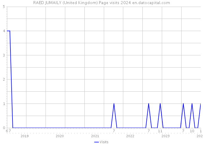RAED JUMAILY (United Kingdom) Page visits 2024 