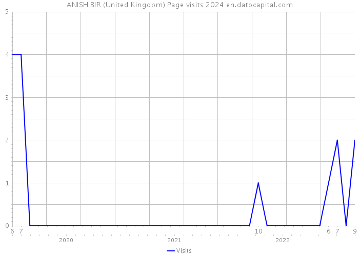ANISH BIR (United Kingdom) Page visits 2024 