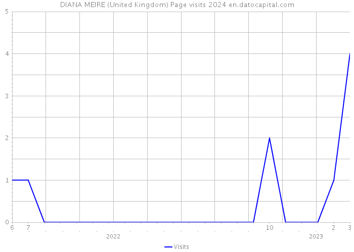 DIANA MEIRE (United Kingdom) Page visits 2024 