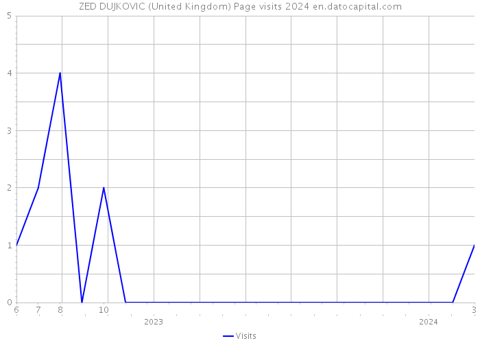 ZED DUJKOVIC (United Kingdom) Page visits 2024 
