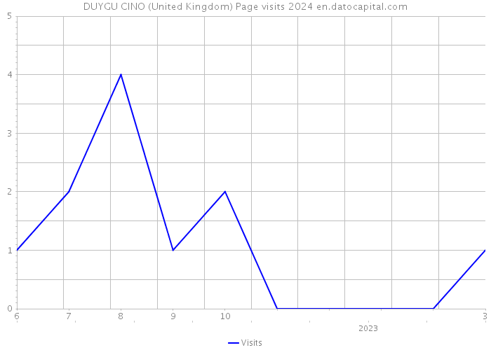 DUYGU CINO (United Kingdom) Page visits 2024 