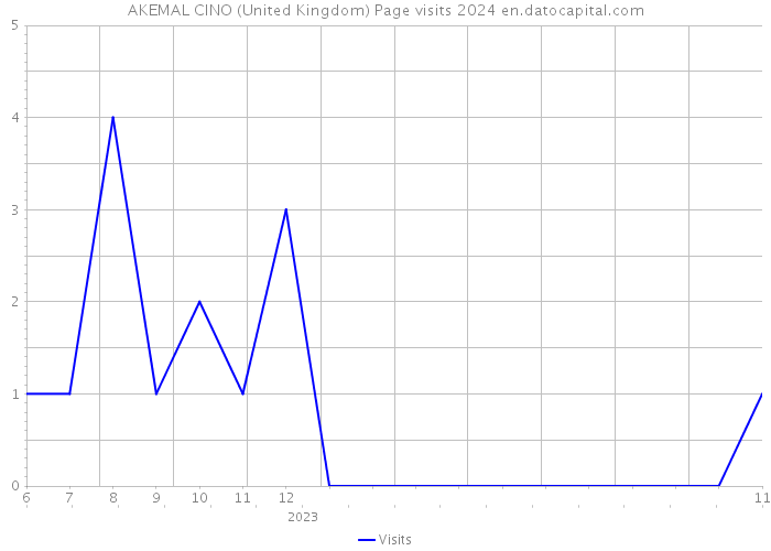 AKEMAL CINO (United Kingdom) Page visits 2024 