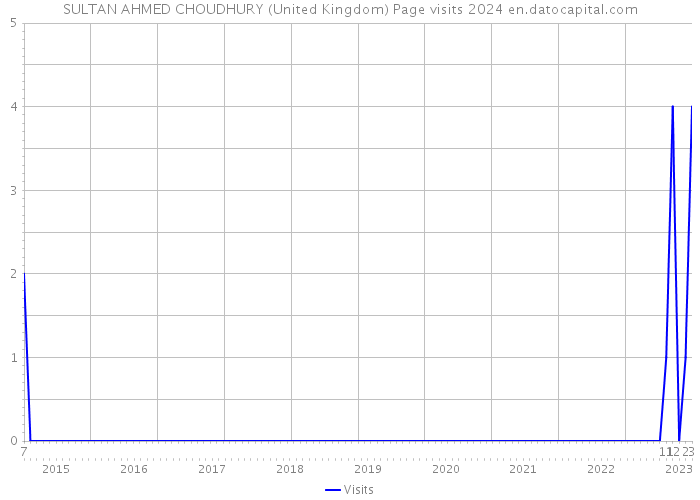 SULTAN AHMED CHOUDHURY (United Kingdom) Page visits 2024 