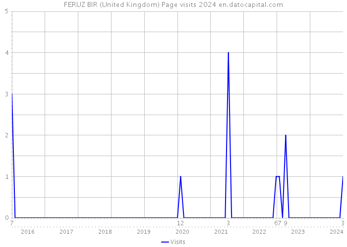 FERUZ BIR (United Kingdom) Page visits 2024 