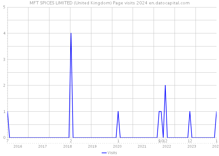 MFT SPICES LIMITED (United Kingdom) Page visits 2024 