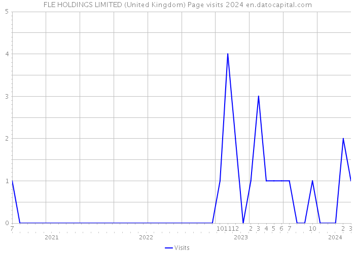 FLE HOLDINGS LIMITED (United Kingdom) Page visits 2024 