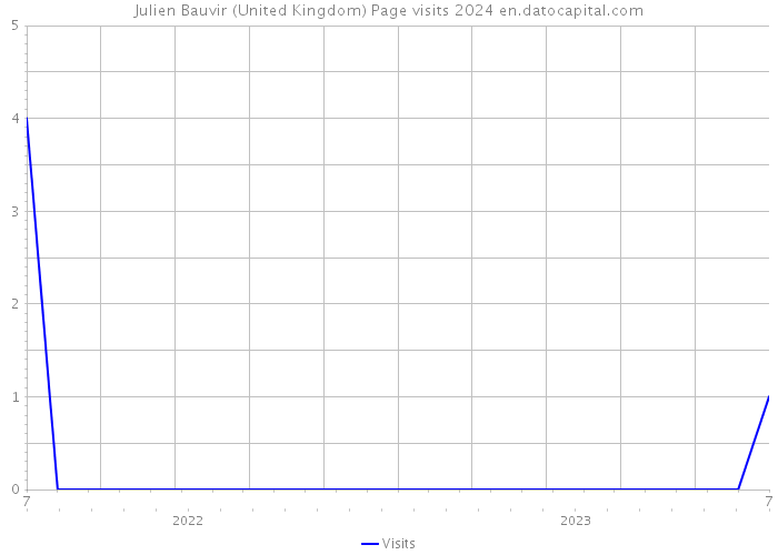 Julien Bauvir (United Kingdom) Page visits 2024 