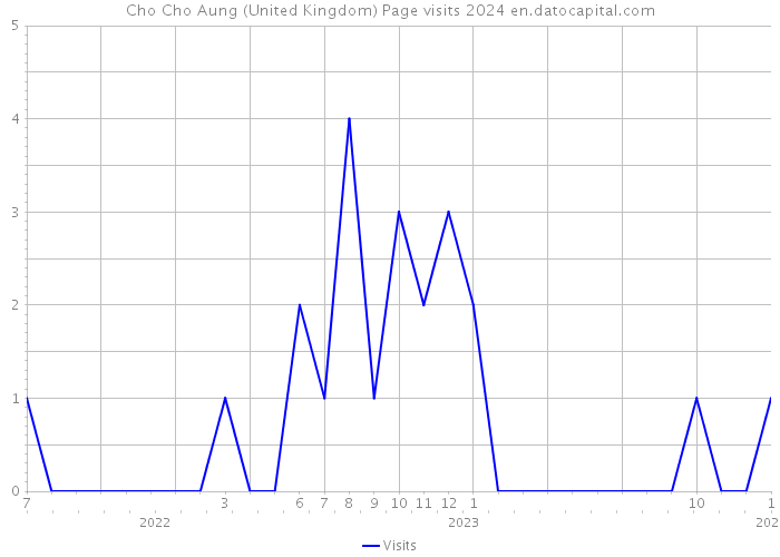 Cho Cho Aung (United Kingdom) Page visits 2024 