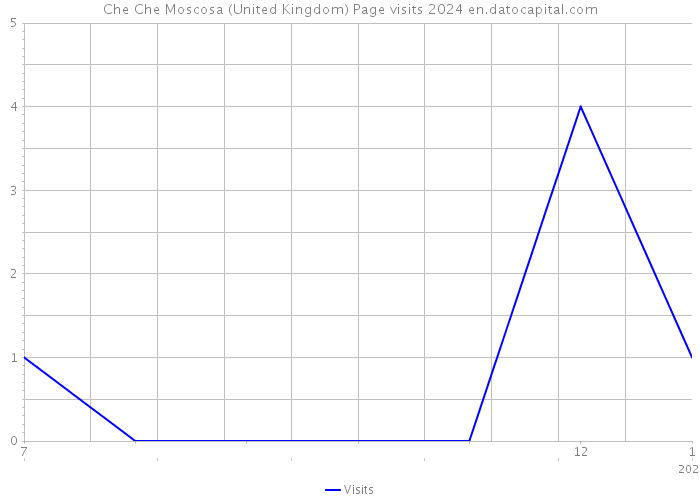 Che Che Moscosa (United Kingdom) Page visits 2024 