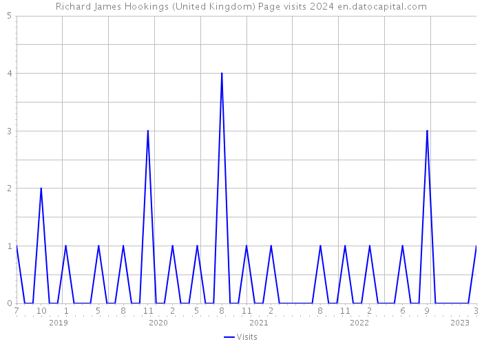 Richard James Hookings (United Kingdom) Page visits 2024 