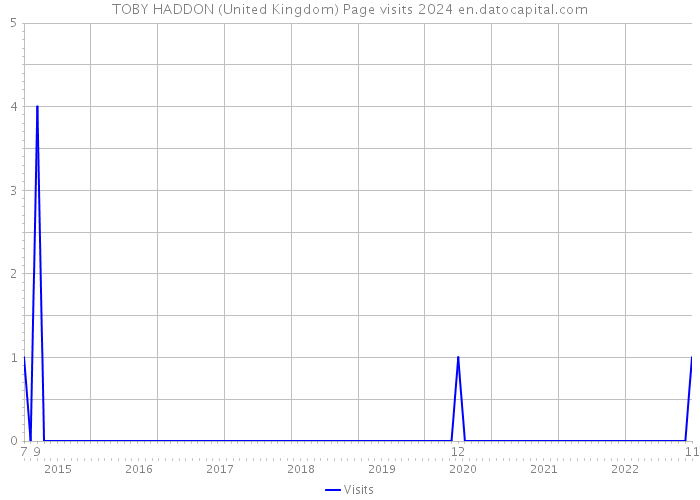 TOBY HADDON (United Kingdom) Page visits 2024 