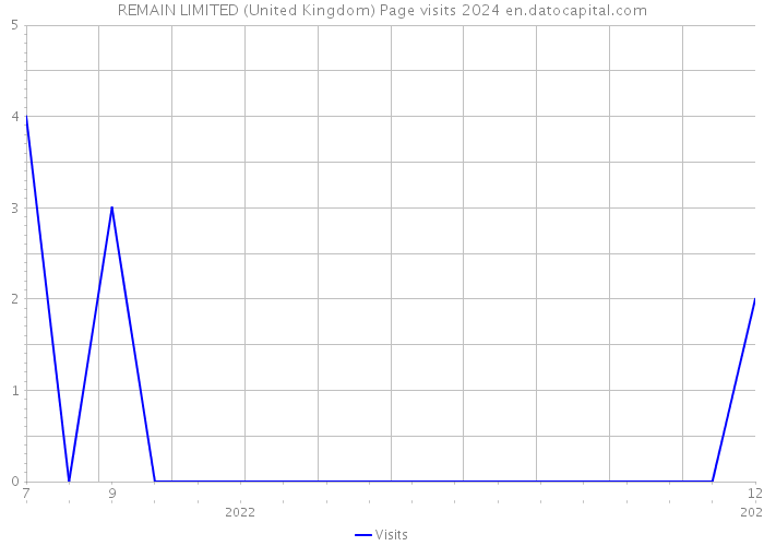 REMAIN LIMITED (United Kingdom) Page visits 2024 
