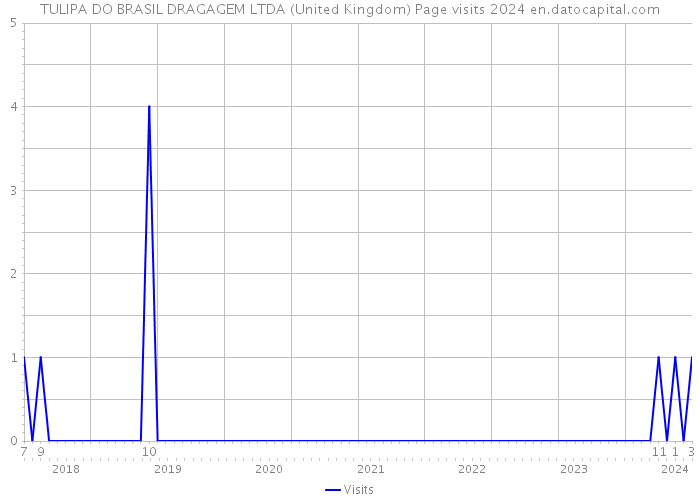 TULIPA DO BRASIL DRAGAGEM LTDA (United Kingdom) Page visits 2024 