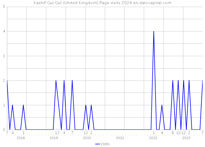 Kashif Gul Gul (United Kingdom) Page visits 2024 