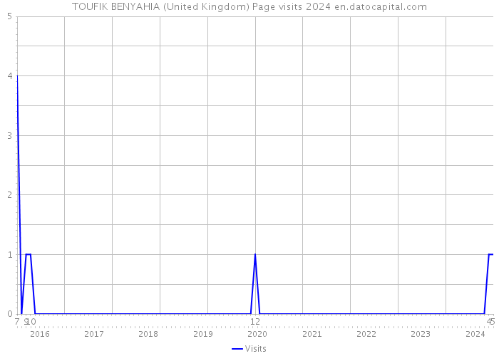 TOUFIK BENYAHIA (United Kingdom) Page visits 2024 