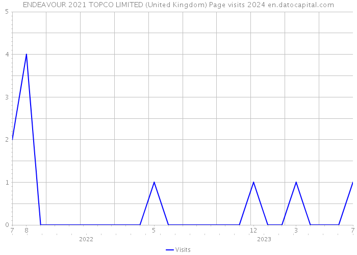 ENDEAVOUR 2021 TOPCO LIMITED (United Kingdom) Page visits 2024 