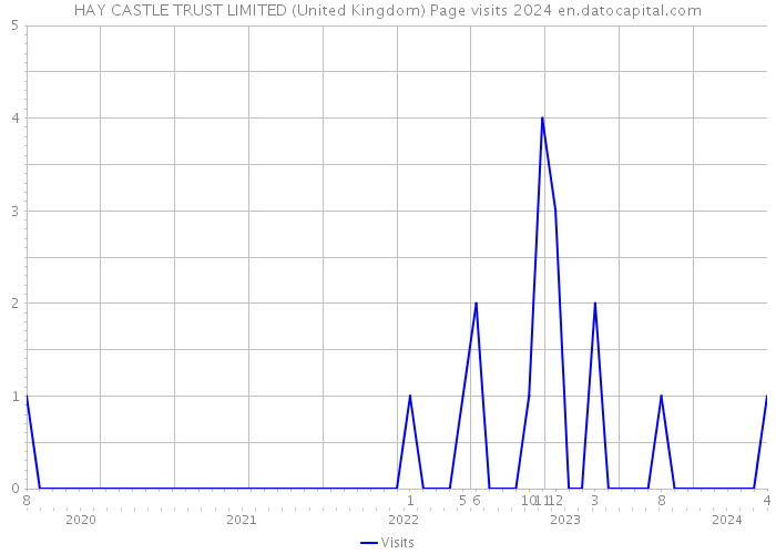 HAY CASTLE TRUST LIMITED (United Kingdom) Page visits 2024 