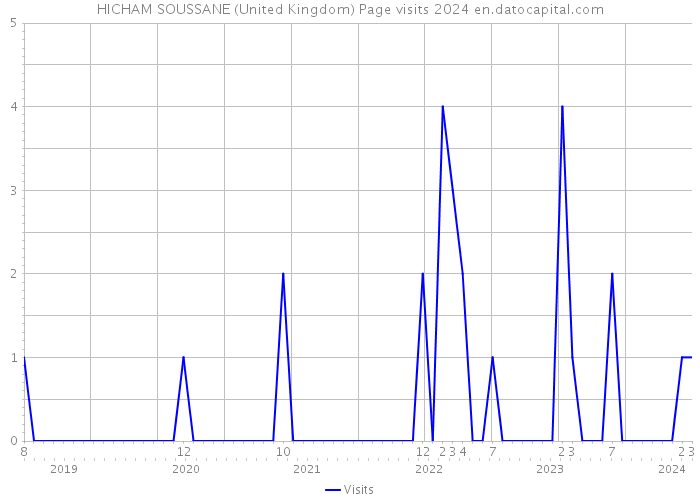 HICHAM SOUSSANE (United Kingdom) Page visits 2024 