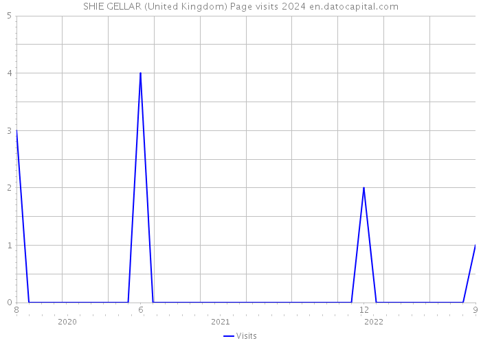 SHIE GELLAR (United Kingdom) Page visits 2024 