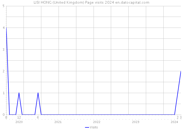 LISI HONG (United Kingdom) Page visits 2024 